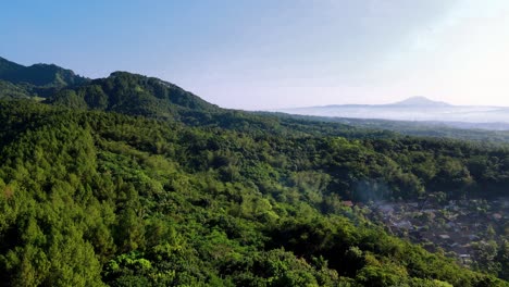 Vista-Aérea-Del-Bosque-De-Pinos-Verdes-En-La-Cordillera-Con-Cielo-Azul-Y-Pequeño-Pueblo