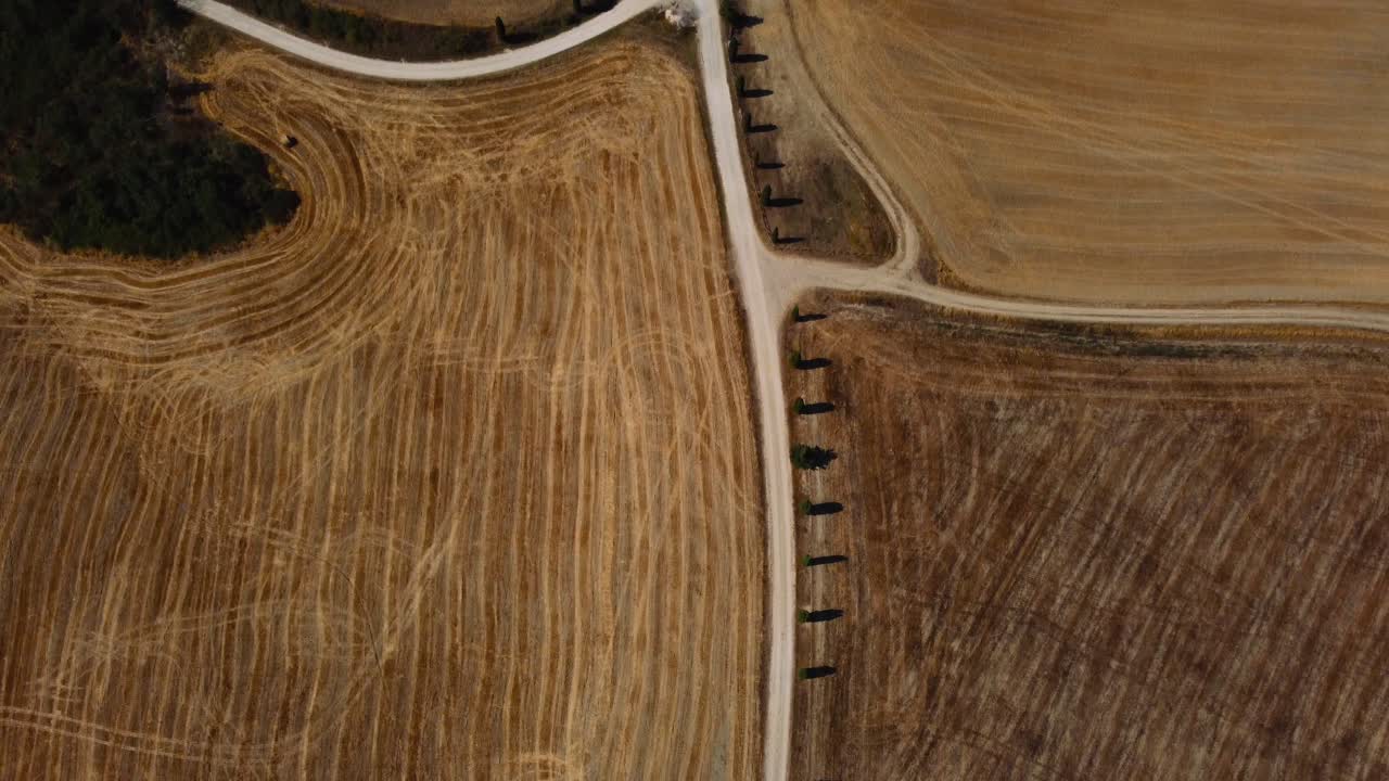 ubicación icónica de la película gladiador protagonizada por russell crowe en val d'orcia cerca de siena, florencia y pienza con una avenida de cipreses que conducen a una granja con campos de cultivo de trigo cosechados en verano