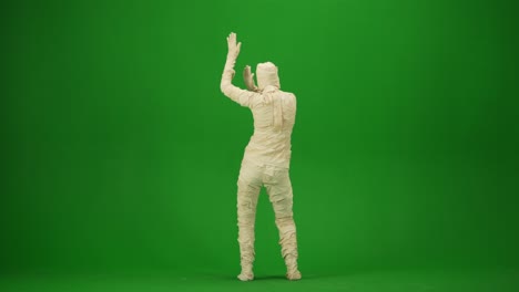 Green Screen Isolated Chroma Key Video Capturing a Mummy Dancing and Singing Actively Into the. Green screen isolated chroma key video capturing a mummy dancing and singing actively into the microphone. Haloween holidays. Mock up, workspace for your promotion clip or advertisement
