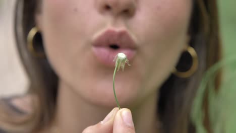 Female-blowing-slow-motion-fluffy-dandelion-clock-seed-and-making-wish-dream