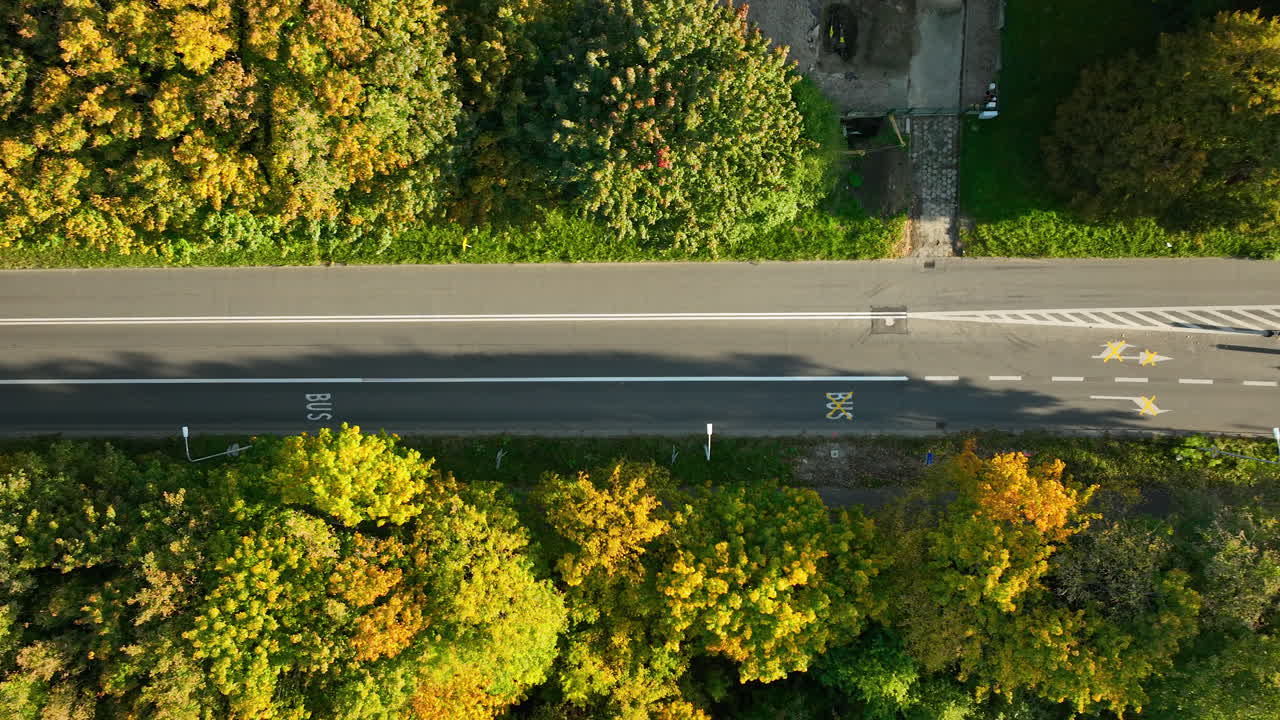 Aerial View of a Road through an Autumn Forest with Bus Stop