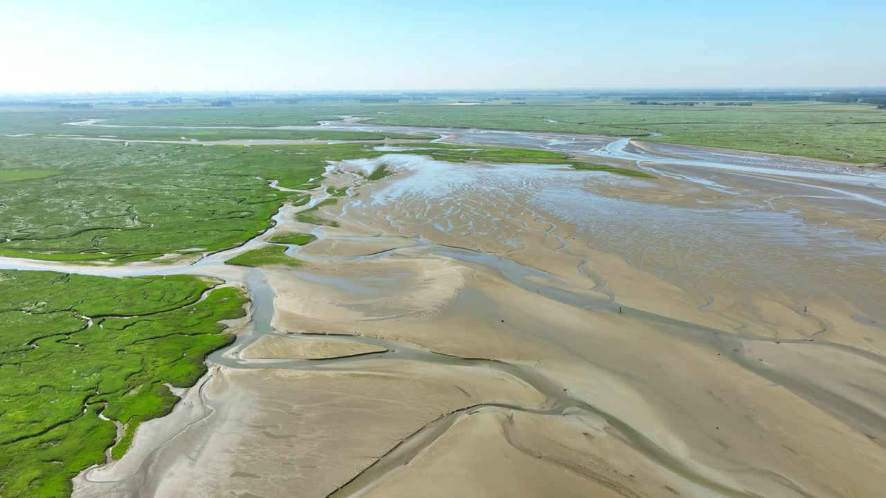 Aerial shot of narrow rivers winding through beautiful green wetlands and river banks under a blue sky