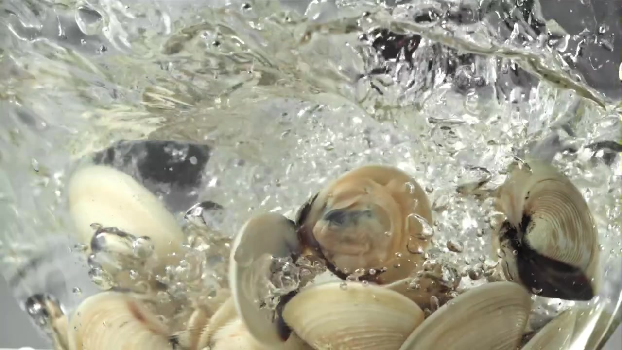 Slowmotion af friske muslinger, der falder ned i vand