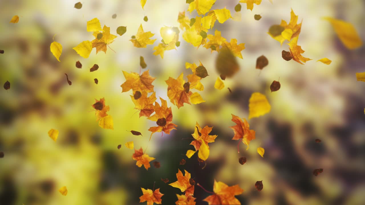 animación de las hojas que caen bucle otoño