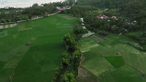 Rice-field-pattern-with-river-in-the-middle-near-ocean-shoreline,-Philippines