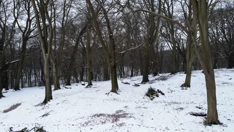 árboles-Desnudos-En-El-Bosque-De-Invierno-Pan-Aéreo-Bajo,-Suelo-Cubierto-De-Nieve