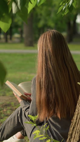 back view of lady seated under tree reading book, leaning against trunk, sunlight softly illuminates her hair and shoulders, legs slightly stretched, surrounded by greenery