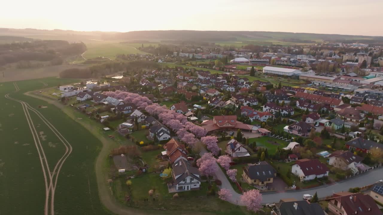 Aerial view of the city of Svitavy at sunset. Awakening of spring and pink blooming trees. Urban greenery from a drone