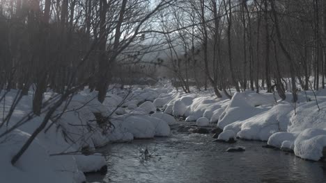 Snowy-forest-stream-in-Hokkaido,-Japan-with-bare-trees-and-soft-light-in-winter