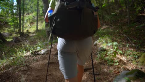 hombre caminando en el bosque a la montaña
