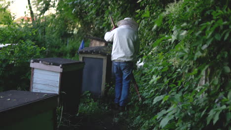 Ein-Mann-Mäht-Das-Gras-In-Einem-Bienenhaus-Auf-Dem-Land