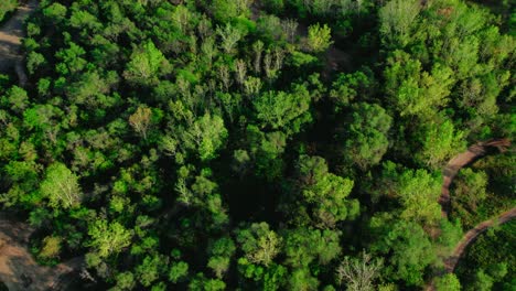 Descripción-Aérea-Con-Pistas-De-Motocross-Todoterreno-Junto-A-Un-Lago-Y-Un-Bosque