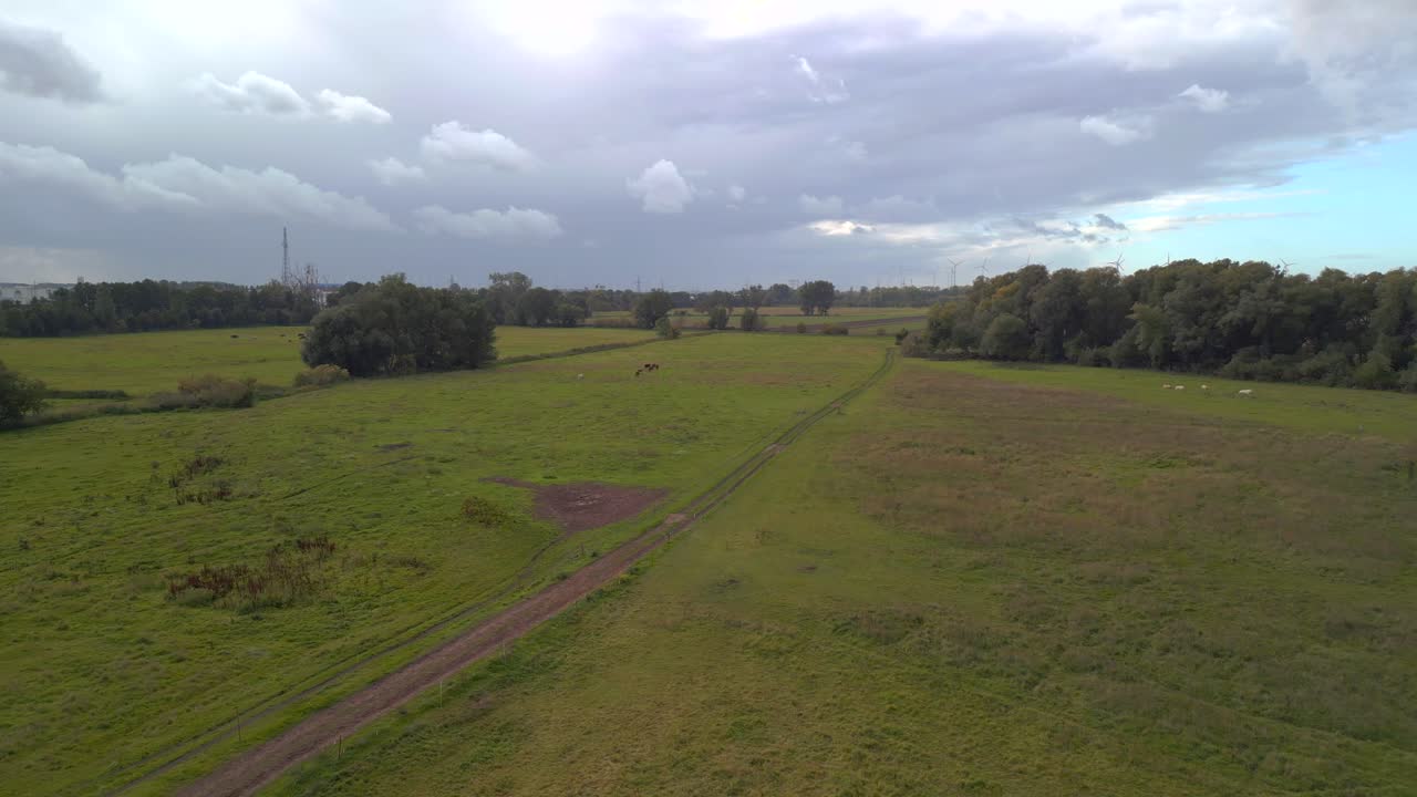 lluvia de nubes gotas de lluvia sobre pastos y brezales