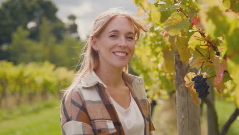 portrait of female worker or owner in vineyard checking grapes for wine production during harvest