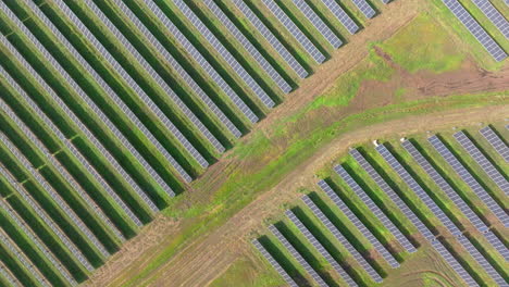 aerial overhead view of large solar farm with many rows of solar panels creating green, renewable energy to replace fossil fuels and to power clean transition to fight climate change