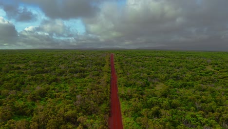 volar sobre un camino de tierra roja en un bosque seco durante un día nublado