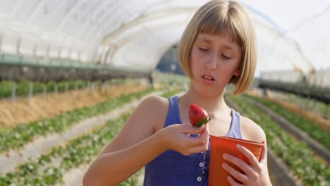 Girl-examining-strawberry-in-the-farm-4k