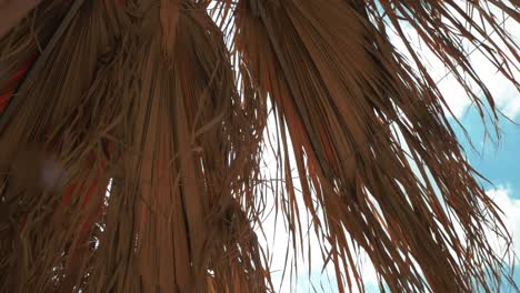 palm umbrella in greek beach with blue sky and white clouds while light breeze is blowing