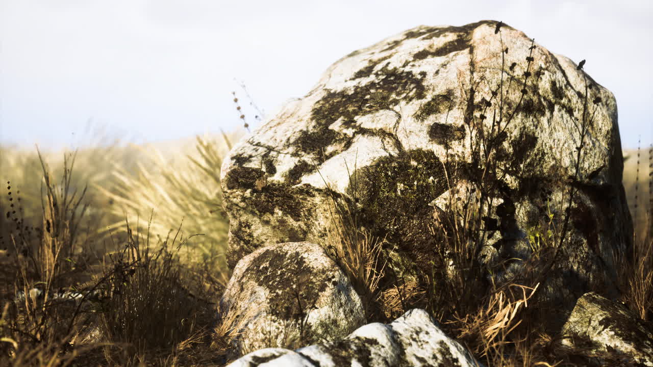 Large weathered rock surrounded by grass in a tranquil natural landscape