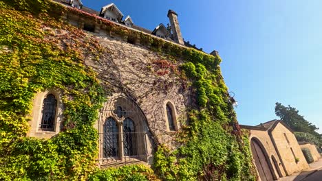 vine-covered church and quaint street view