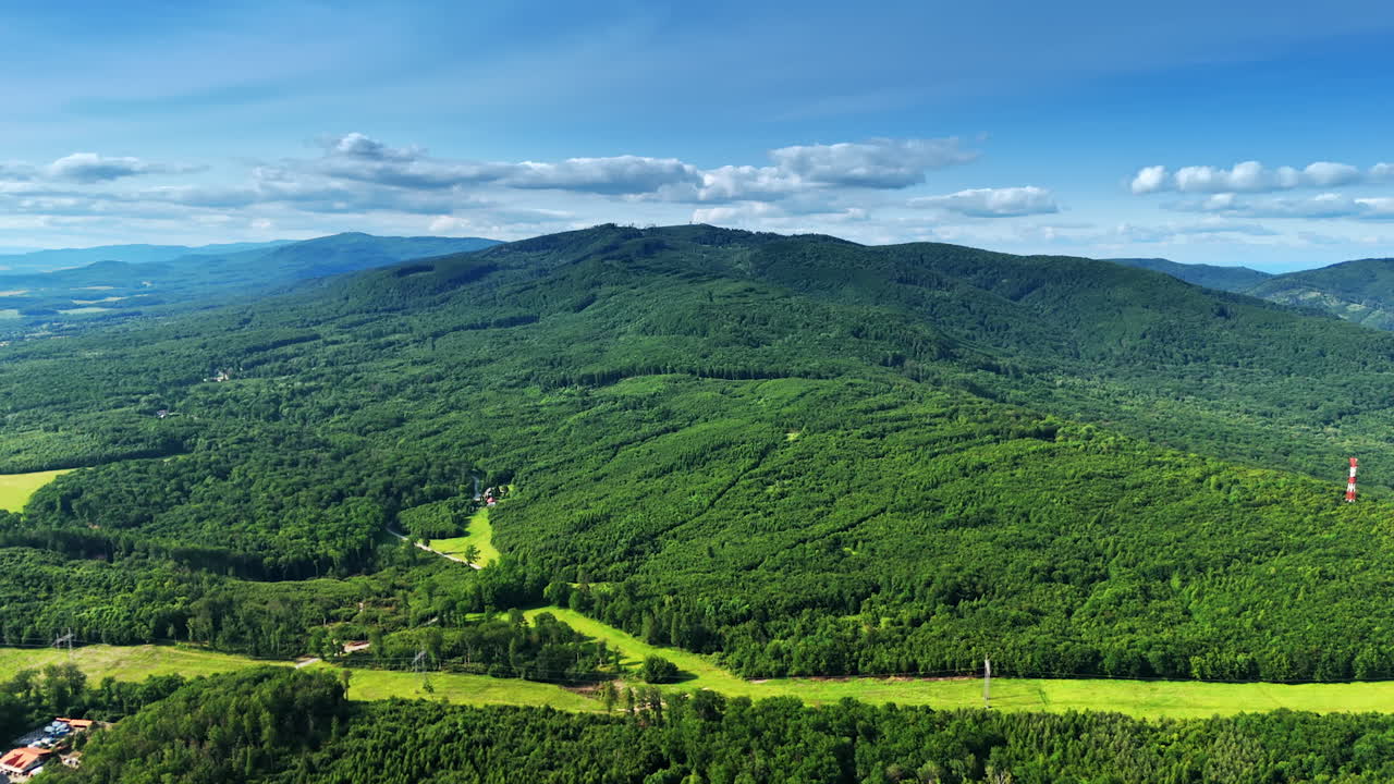 Daytime European forest view. Lush green forests stretch across the landscape under a clear blue sky in Europe, showcasing nature's beauty