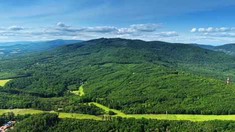 daytime european forest view. lush green forests stretch across the landscape under a clear blue sky in europe, showcasing nature's beauty