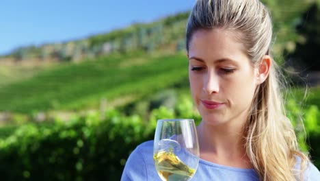 mujer hermosa examinando el vino en el viñedo