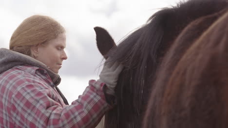 woman interacts intimately with chestnut horse during equine-facilitated therapy