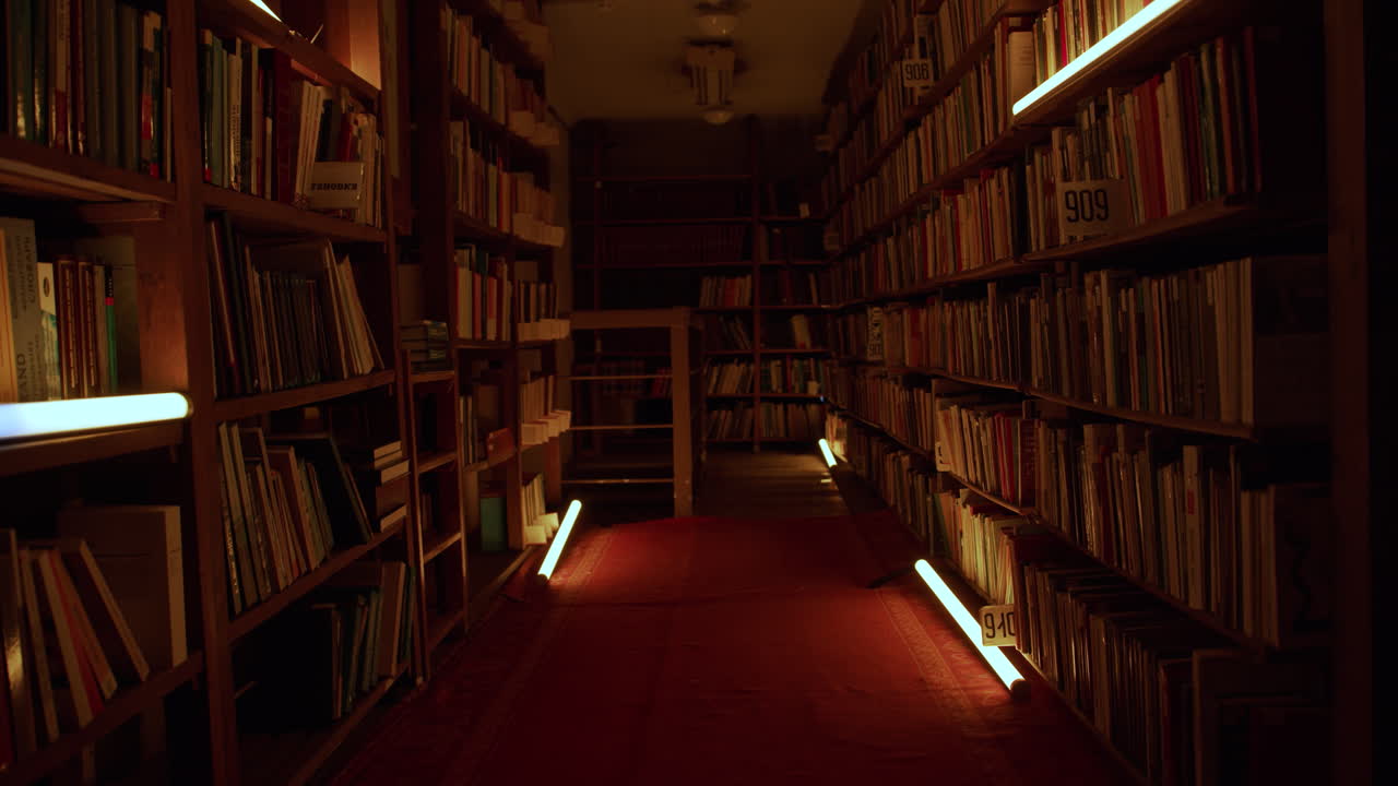 Dark Library Passageway with Neon Lighting