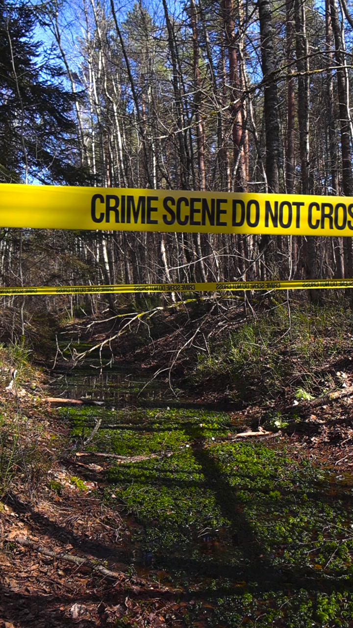 Yellow police tape reading crime scene do not cross stretched across a ditch in a forest, securing the area of an investigation during a sunny day with a slow camera movement