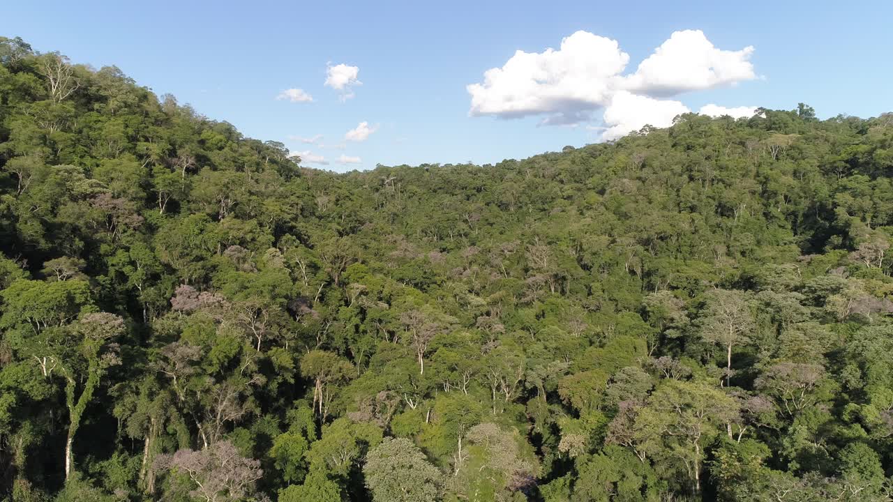 A bird's-eye view of the Misiones rainforest in Argentina, capturing the lush green canopy and the natural beauty of this vibrant and biodiverse ecosystem