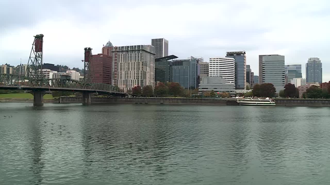 BIRDS FLYING LOW ACROSS THE WILLAMETTE RIVER IN PORTLAND, OREGON