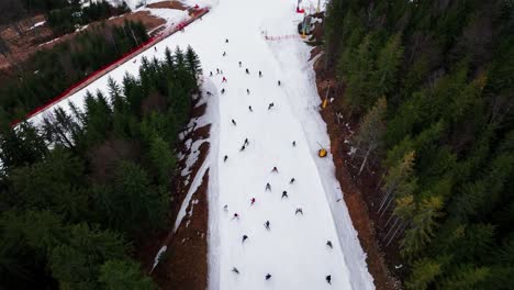 aerial view of group of skiers going downhill on snowy slope, dolni morava