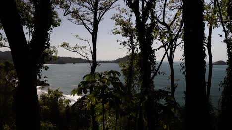 Handheld-shot-of-the-ocean-through-the-forest