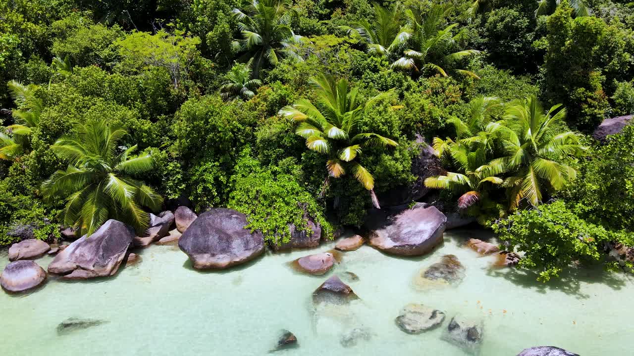 сейшельские острова ла диг снорклинг морской парк5.mp4