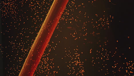 toma macro de un palo dentro de un tubo de vidrio científico y glóbulos rojos
