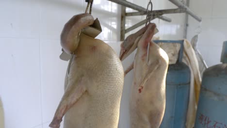 Whole-Uncooked-Ducks-Hanging-In-The-Kitchen-Of-A-Chinese-Restaurant-In-Guangzhou,-China---dolly-shot