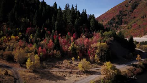 Colores-De-Otoño-En-Utah-A-Lo-Largo-Del-Río-Provo