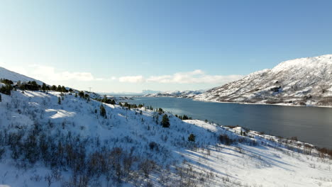 cinematic view of lofoten landscape and fjord in winter season