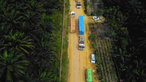 cinematic drone footage of onshore drilling rig equipment structure for oil exploration and exploitation in the middle of jungle surrounded by palm oil trees during sunset and high oil price