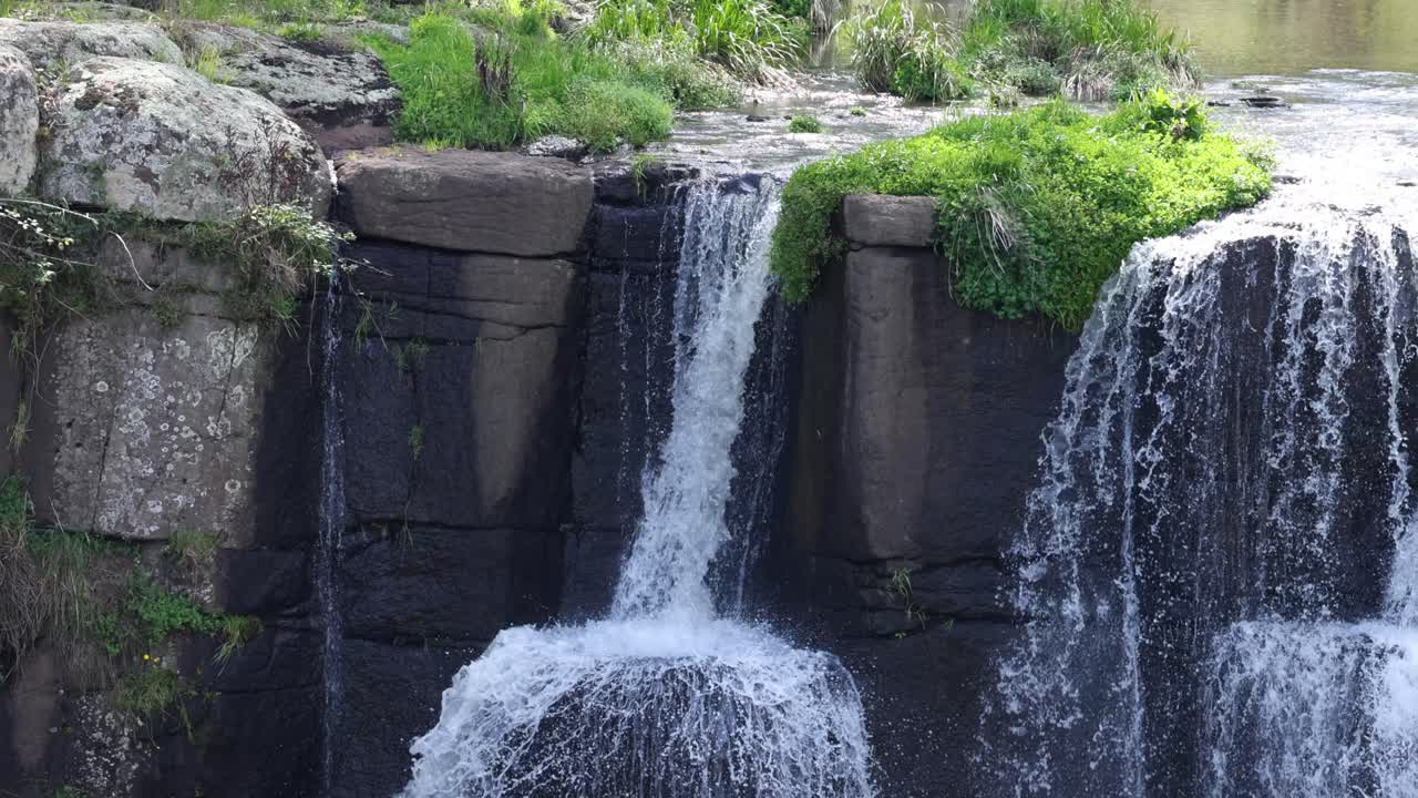 울창 한 초록색 으로 가득 찬 폭포
