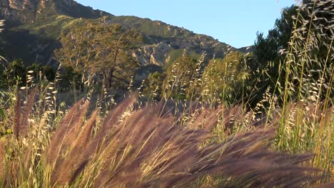 los vientos de la puesta del sol de santa ana soplan a través de las montañas y los pastos de las montañas de santa ynez cerca de santa barbara