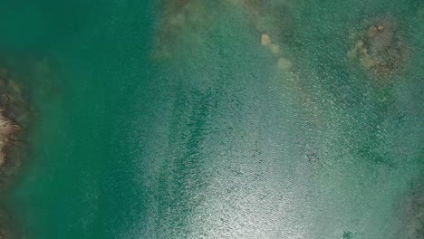 top down shot overhead a vibrant lake in the countryside of montpellier, france