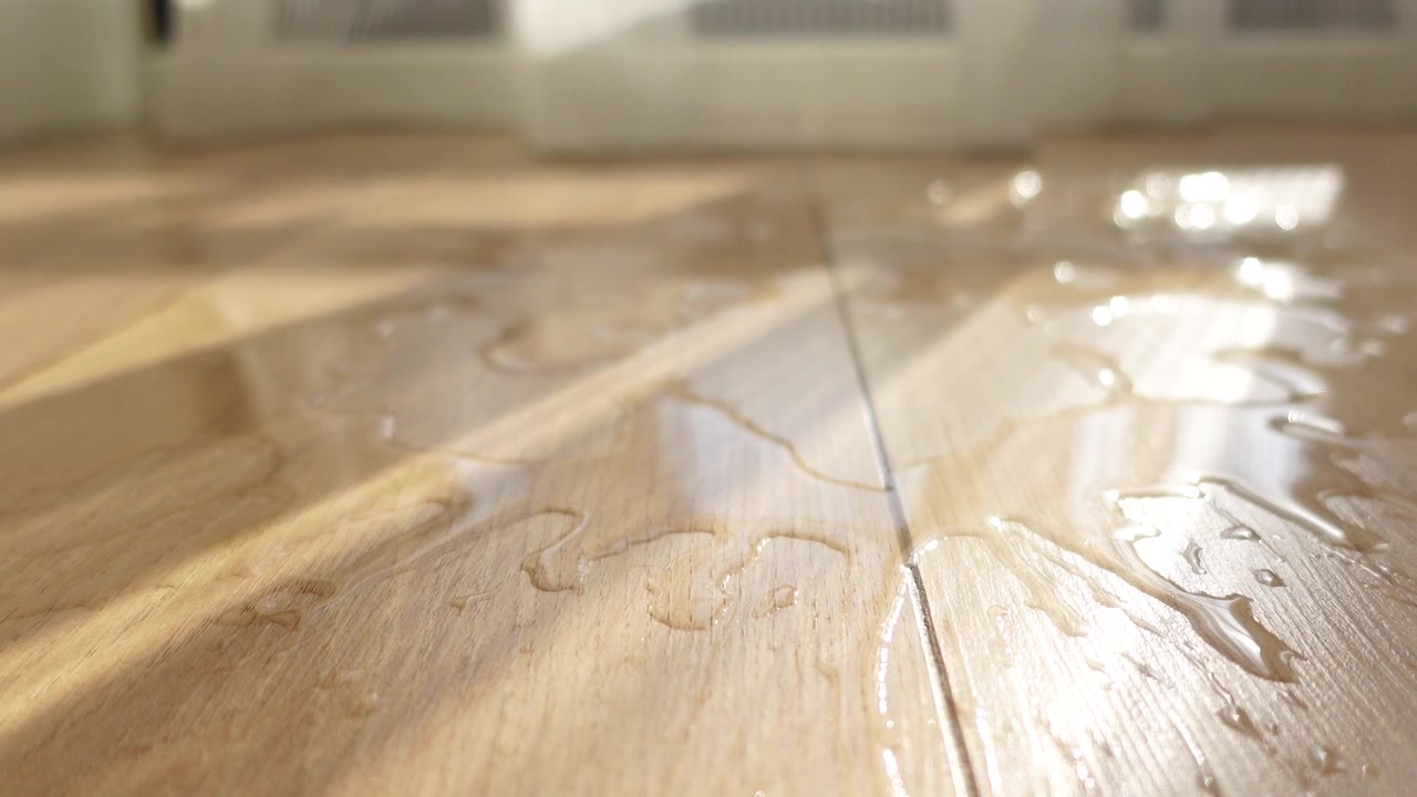 Water Spilled on Light Wood Flooring in Sunlight