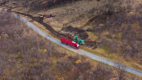 the wood harvester processes the fallen trees and loads the truck with mulch