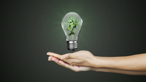 hands presenting light bulb with earth