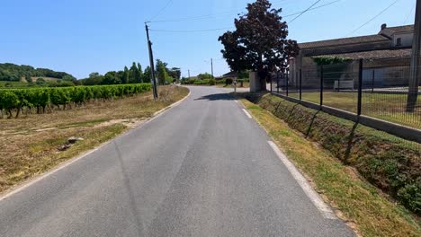 road through vineyard in castillon-la-bataille, france