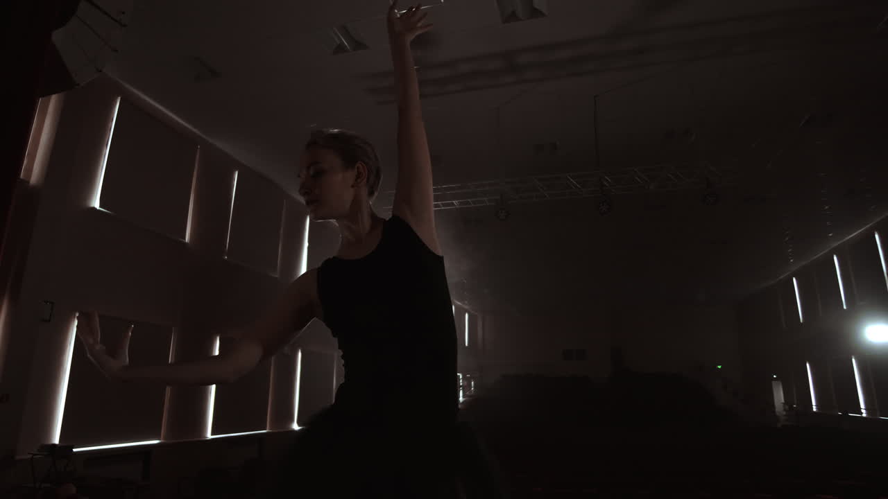 SLOW MOTION: close-up of the ballerina's legs in the pounts and smooth movement of the camera along the vertical axis. Portrait of a ballerina