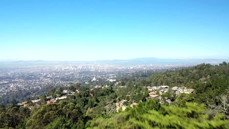 Fast-push-over-trees-to-reveal-the-overpopulated-city-behind