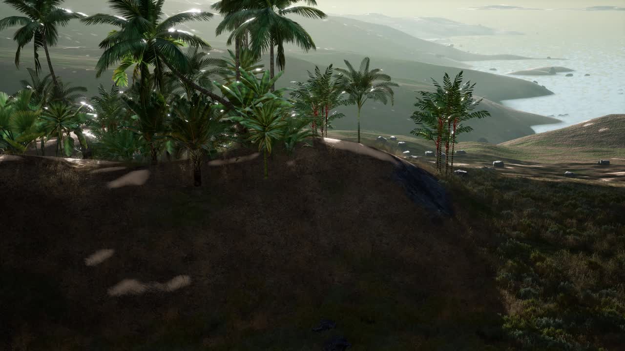 vista aérea de palmeras en dunas de arena cerca del mar